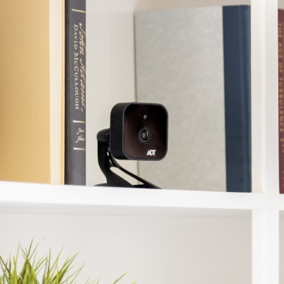 The Woodlands indoor security camera